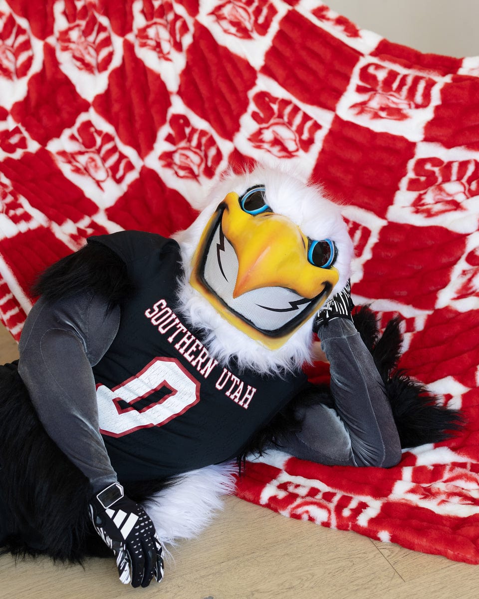 Southern Utah Thunderbirds Blanket - Hugs